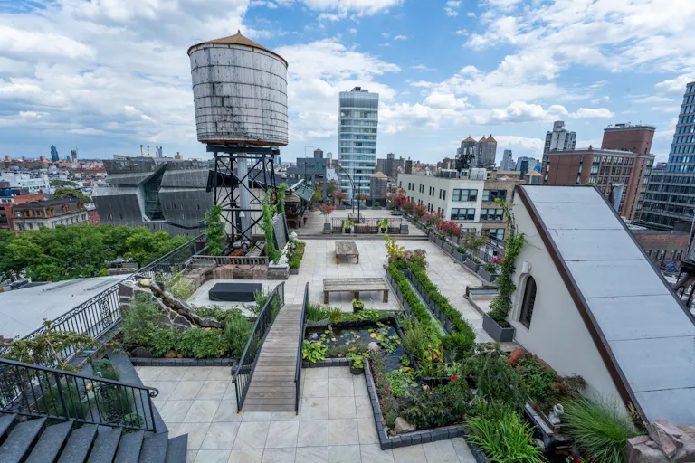 Noho Rooftop - Image 2