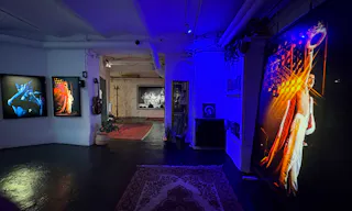 Birkagatan 31 Oak Island Gallery - Image 0