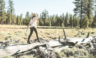 Holcomb Valley Ranch, Southern California Mountains - Image 5