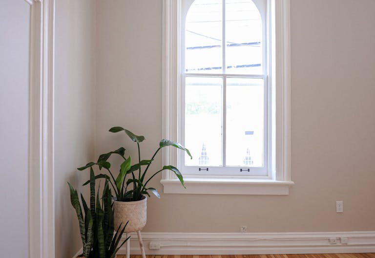 Photo + Film Studio | Art Gallery | Showroom in Warwick, NY - Image 3