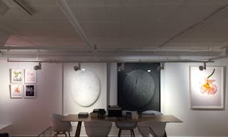 Prime Gallery Space in Soho - Image 3