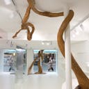 Rue de Turenne Boutique in Le Marais, Pop up/showroom