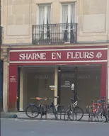 Pop up store / boutique éphémère - Image 3