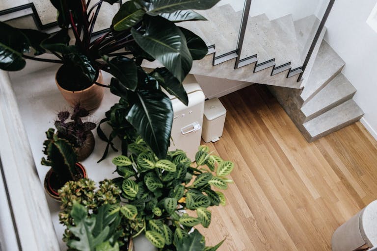 Lieu �v�nementiel hybride de 580m2 - Image 4