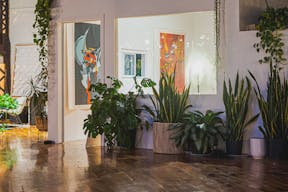 Sunny Plant Filled Dumbo Restored Warehouse //  Perfect for Photo shoots/Dinner Parties/Events - Image 7