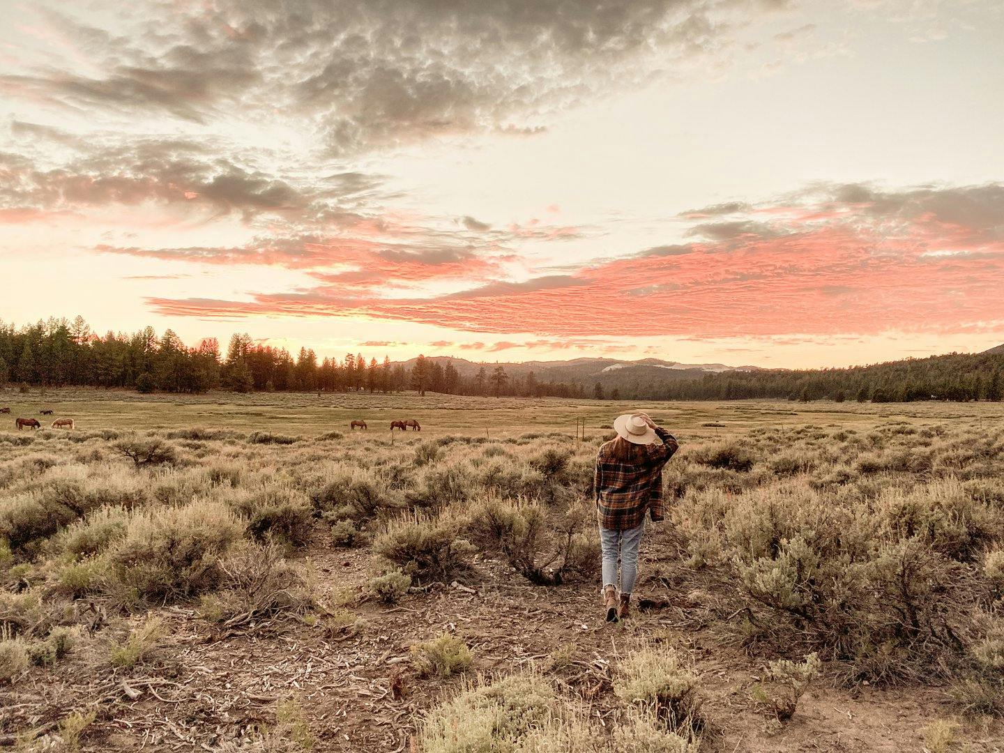 Holcomb Valley Ranch in the Southern California Mountains