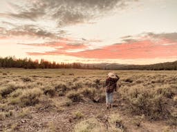 Holcomb Valley Ranch, Southern California Mountains - Image 8