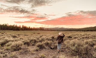 Holcomb Valley Ranch, Southern California Mountains - Image 8