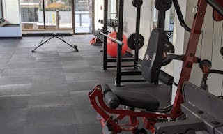 Storefront Physical Therapy and Personal Training Studio with Shower - Image 3