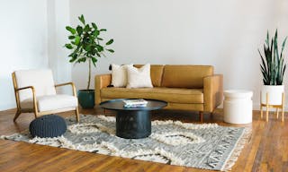 Bright Daylight Film/Photo Studio in Williamsburg - Image 7