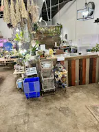 Boutique and florist shop at Union Street Schenectady - Image 2