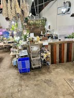 Boutique and florist shop at Union Street Schenectady - Image 2