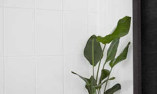 Amazing 300m2 for Showrooms and Events - Image 12