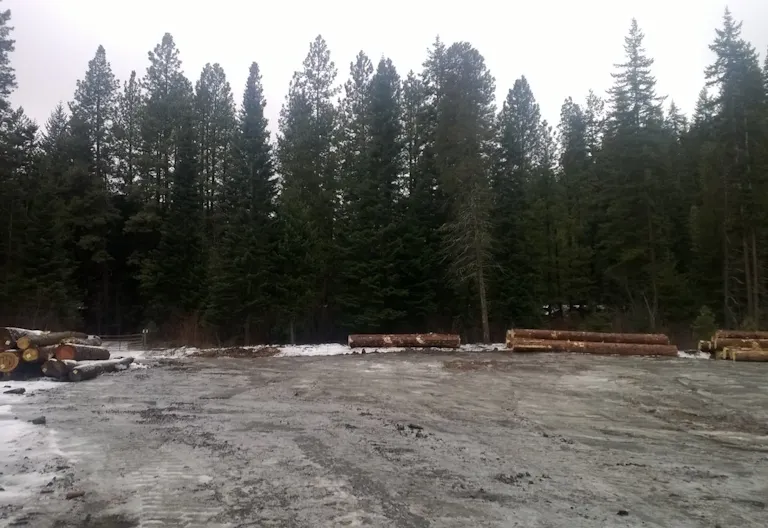 Open land for multiple events - Image 1