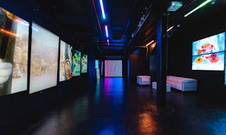 LUME Studios - Image 21