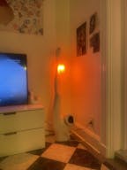 Gorgeous Old School Brooklyn Apt with giant windows / maple black and white floors / molding / full of art and live plants - Image 11