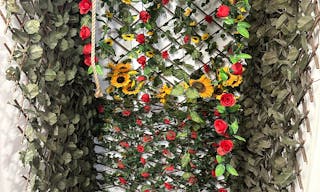 Space with its own photography studio, film production room, an upcoming recording studio - Image 8