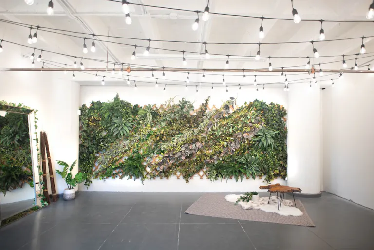 DTLA - Ivy Wall Studio with Mirrors - Image 0