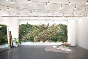 DTLA - Ivy Wall Studio with Mirrors - Image 0