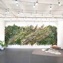 DTLA - Ivy Wall Studio with Mirrors