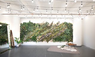 DTLA - Ivy Wall Studio with Mirrors - Image 0