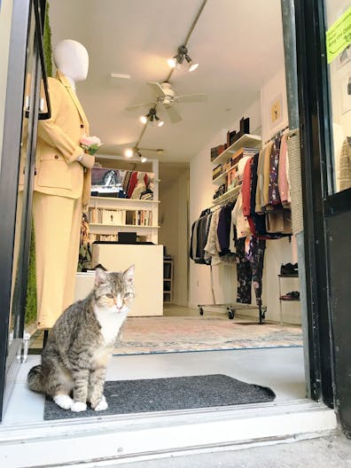 Lower East Side, Alphabet City storefront - Image 3