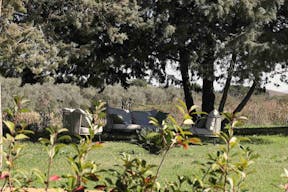 Rustic Sicilian olive farm & historic barn venue - Image 8