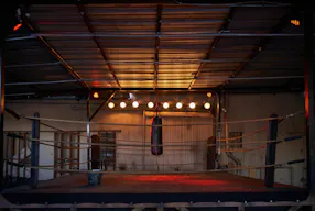 Metal Hanger and Boxing Ring - Image 2