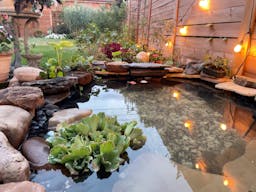 Beach house photography and video production studio - Image 3