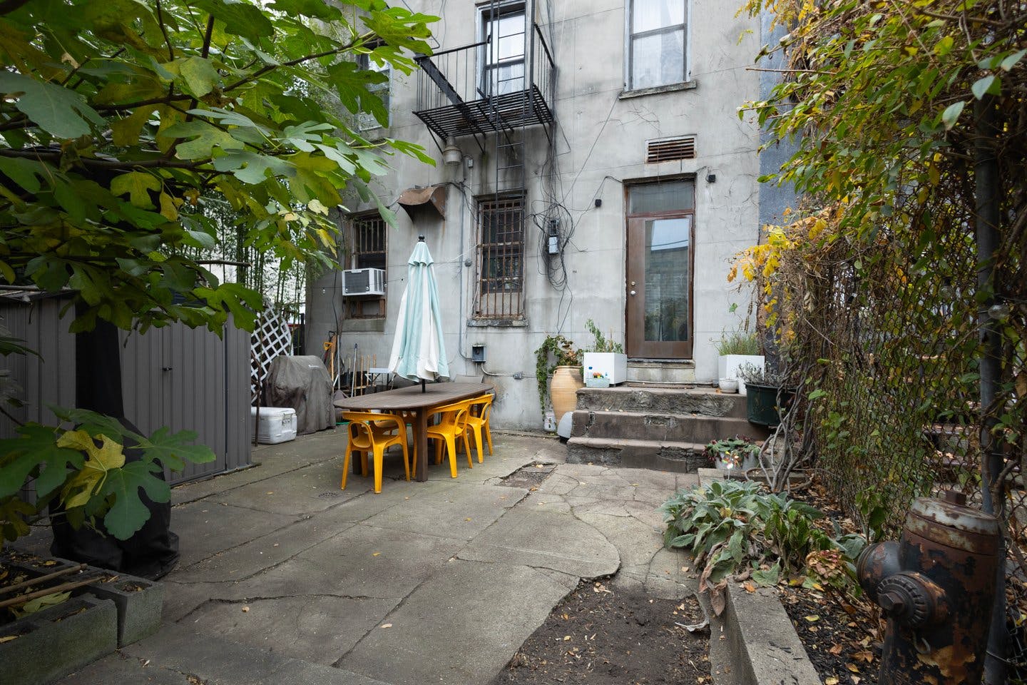 Colorful Spacious Garden Apartment in Red Hook, Brooklyn