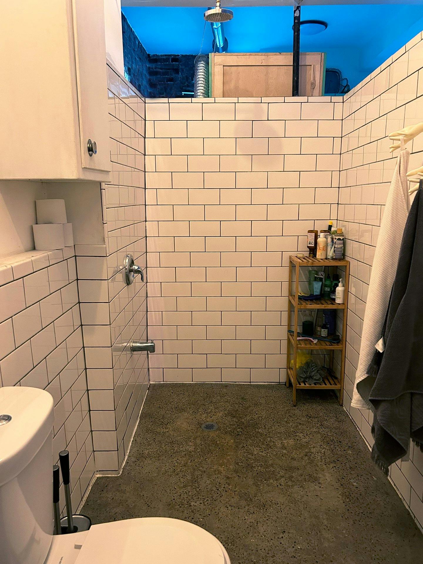 Colorful Spacious Garden Apartment in Red Hook, Brooklyn