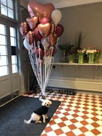 Living Room - Image 7