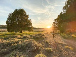 Holcomb Valley Ranch, Southern California Mountains - Image 4