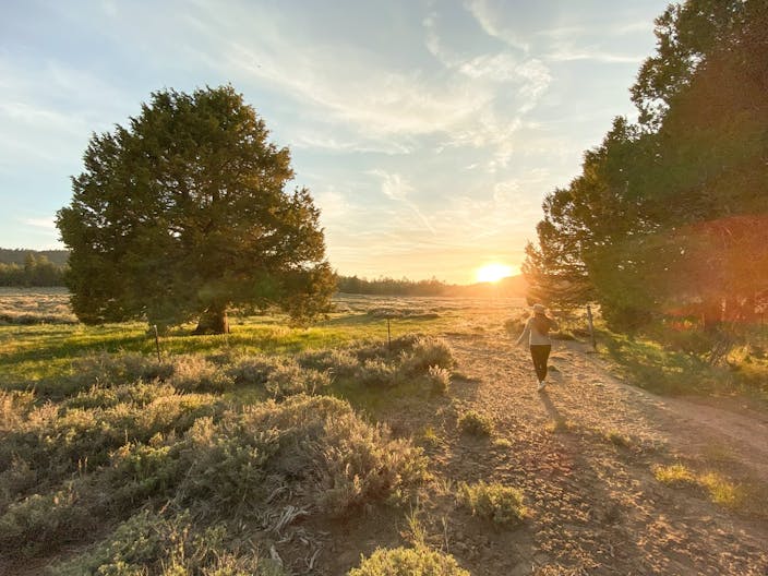 Holcomb Valley Ranch, Southern California Mountains - Image 4