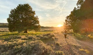 Holcomb Valley Ranch, Southern California Mountains - Image 4