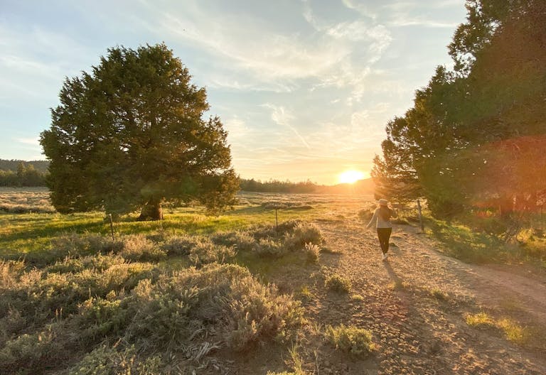 Holcomb Valley Ranch, Southern California Mountains - Image 4