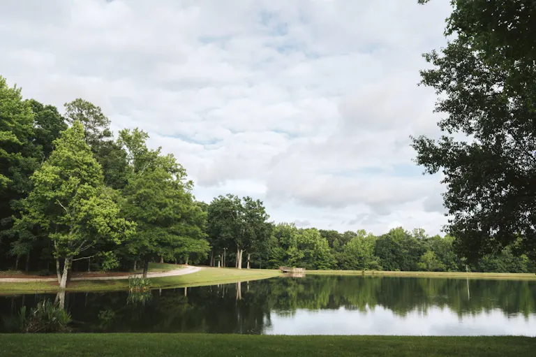 Beautiful Estate in Climax, NC - Image 3