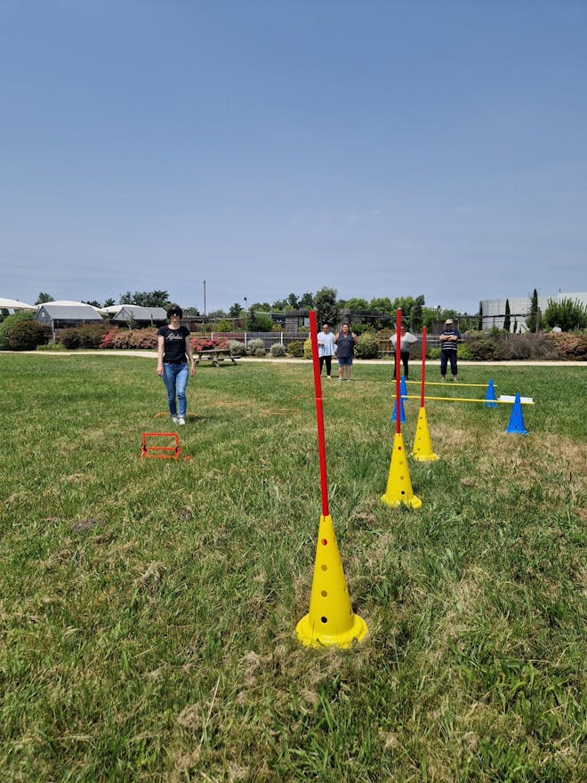 Prairie - Decathlon Merignac - Image 1