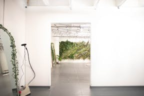 DTLA - Ivy Wall Studio with Mirrors - Image 5