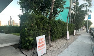 Tiny House Vibes with Miami Style *Art Basel* - Image 2