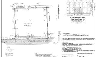 Outdoor space in Edgewater/Wynwood Miami - Image 4