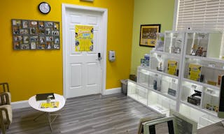 Music Academy Located in North Dallas - Image 5