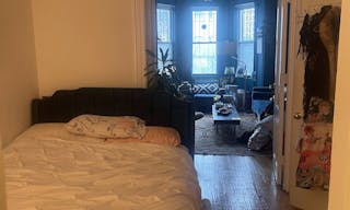 Gorgeous Old School Brooklyn Apt with giant windows / maple black and white floors / molding / full of art and live plants - Image 13