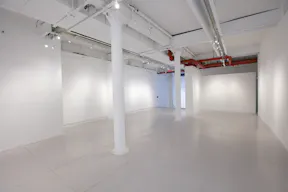 Elegant and versatile space to host memorable events in Chelsea, NYC - Image 17