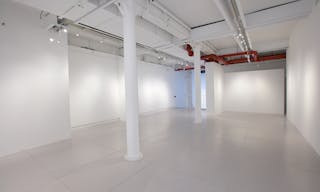 Elegant and versatile space to host memorable events in Chelsea, NYC - Image 17