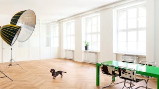 Ein Ort - viele Möglichkeiten direkt im Münchner Glockenbachviertel - Image 5