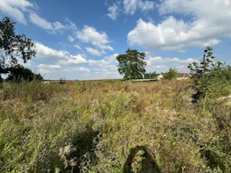 Décor/Lieu de tournage: Prairie - Image 0