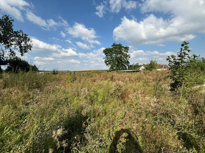 Décor/Lieu de tournage: Prairie - Image 0