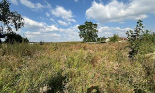 D�cor/Lieu de tournage: Prairie - Image 0