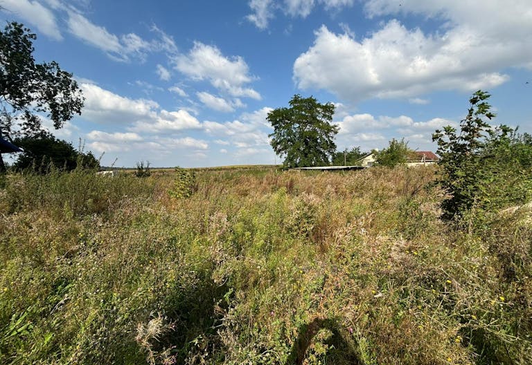 D�cor/Lieu de tournage: Prairie - Image 0